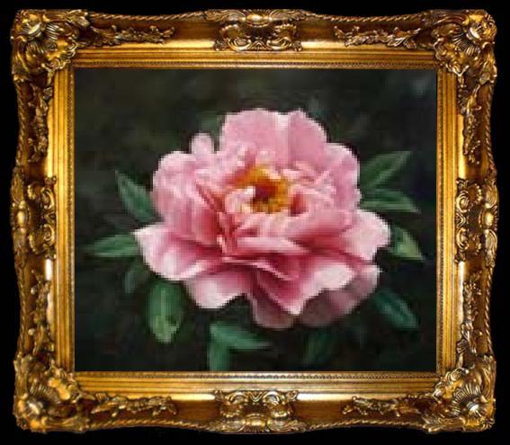 framed  unknow artist Realistic Pink Rose, ta009-2